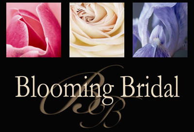  Wedding Registry on Bridal Website By Robby